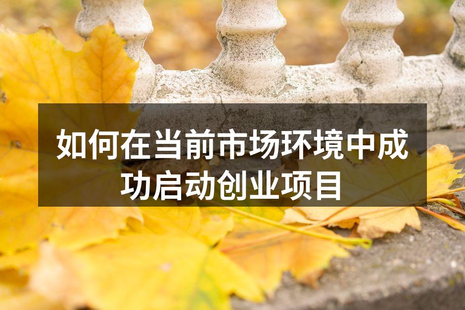 如何在当前市场环境中成功启动创业项目